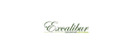 Excalibur brand logo for reviews of Gift Shops Reviews & Experiences