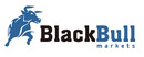 BlackBull Markets brand logo for reviews of financial products and services