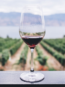Fine Wine Buying Guide - All You Need To Know