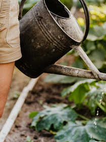 Top Gardening Tools to Try in 2025 for a Healthier Garden