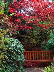 How to get your garden ready for autumn!