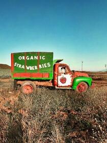 What do companies mean by organic and what are the benefits?