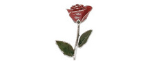 Love is a Rose brand logo for reviews of online shopping for Cosmetics & Personal Care Reviews & Experiences products
