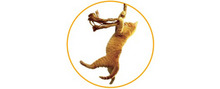 Save the Cat brand logo for reviews of Other Services Reviews & Experiences