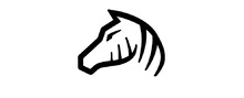 Zebra Golf brand logo for reviews of online shopping for Sport & Outdoor Reviews & Experiences products