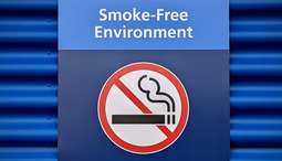 Snus and Tobacco Free Nicotine Pouches as Alternatives to Smoking