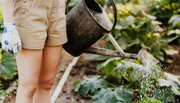 Top Gardening Tools to Try in 2025 for a Healthier Garden