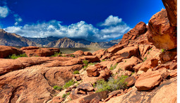 Pro Travel Tips: Finding Hidden Gems in the US