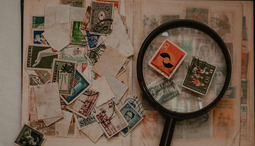 The New Generation of Collectors: Trends Shaping Modern Hobbies