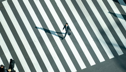The Psychology of Patterns: Why Our Brains Seek Order in Chaos