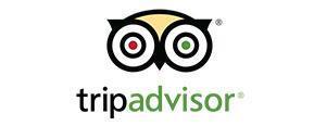 TripAdvisor brand logo for reviews of travel and holiday experiences