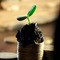 thumbnail How to Find the Best Money Transfer Companies