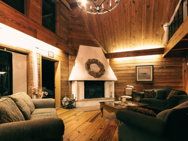 thumbnail of A bioethanol fireplace – a great eco-friendly alternative to traditional wood-burning stoves